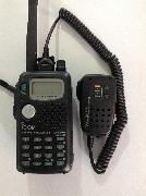 ic-t81a